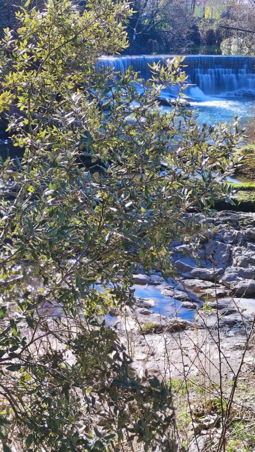 Alojamiento Rural, Jardin, A 25 Minutos De Bilbao, Parking Gratuito Arantzazu Dış mekan fotoğraf